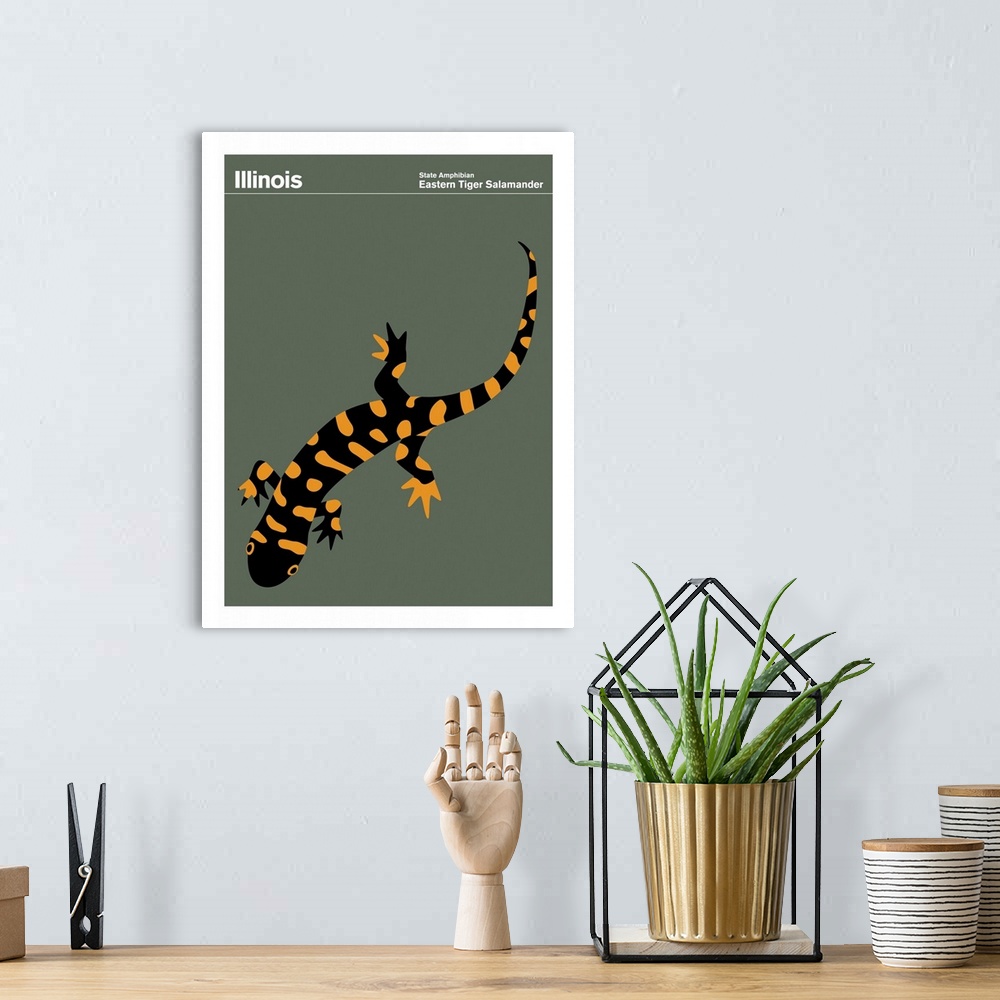 A bohemian room featuring State Posters - Illinois State Amphibian: Eastern Tiger Salamander