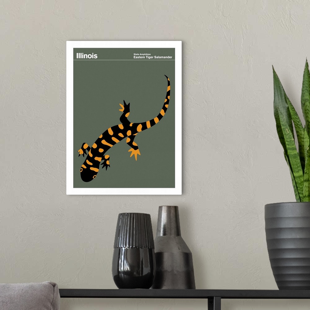 A modern room featuring State Posters - Illinois State Amphibian: Eastern Tiger Salamander
