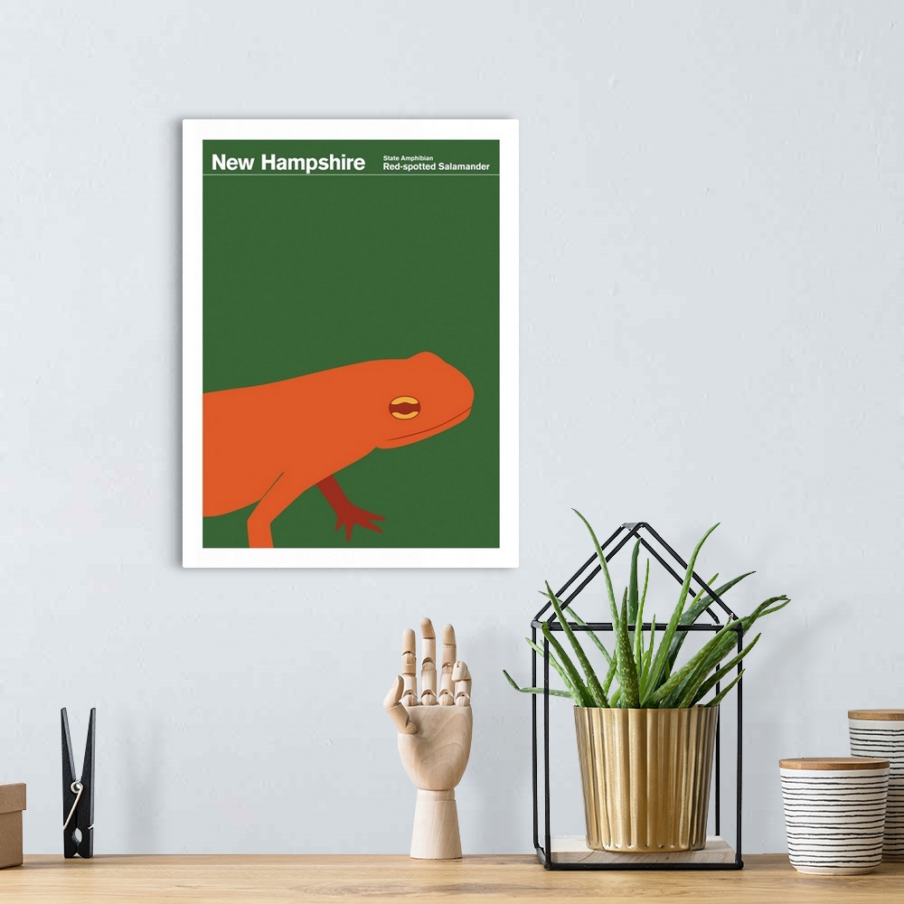 A bohemian room featuring State Posters - New Hampshire State Amphibian: Red-spotted Salamander