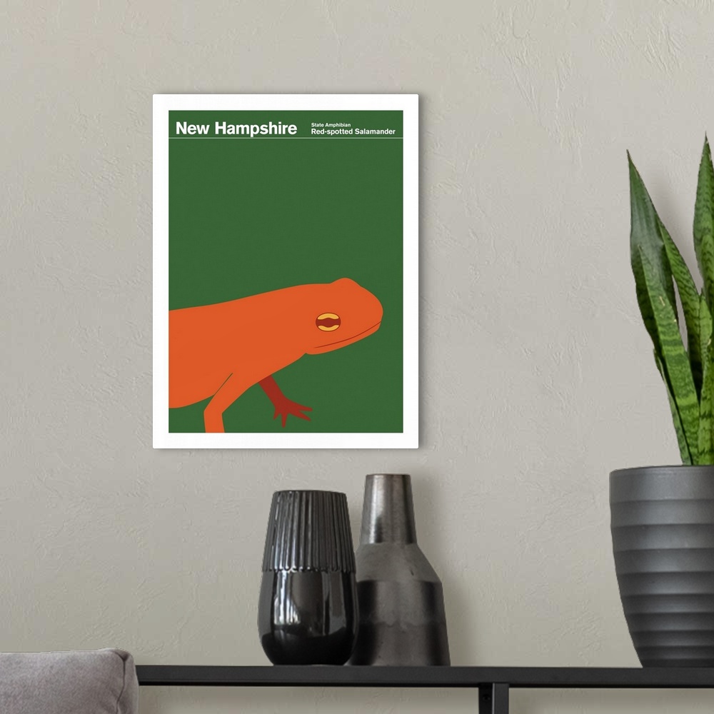 A modern room featuring State Posters - New Hampshire State Amphibian: Red-spotted Salamander