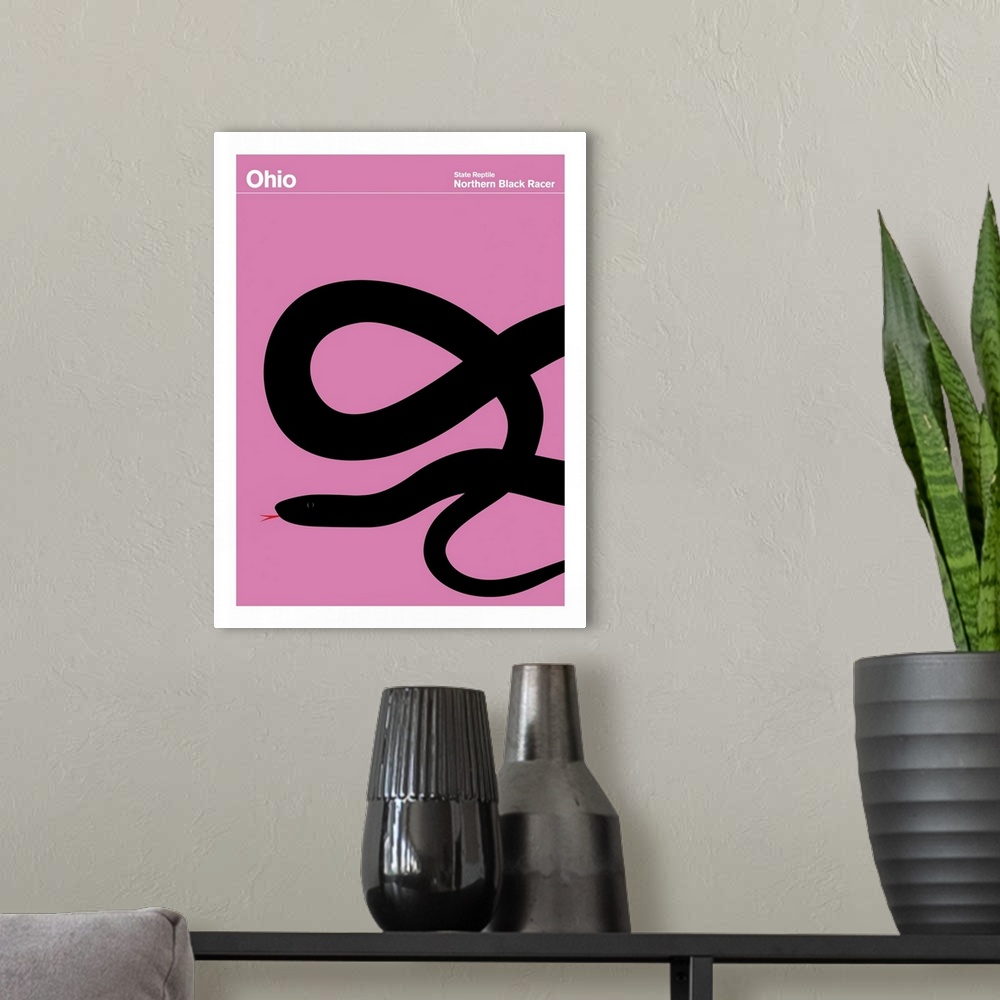 A modern room featuring State Posters - Ohio State Reptile: Northern Black Racer