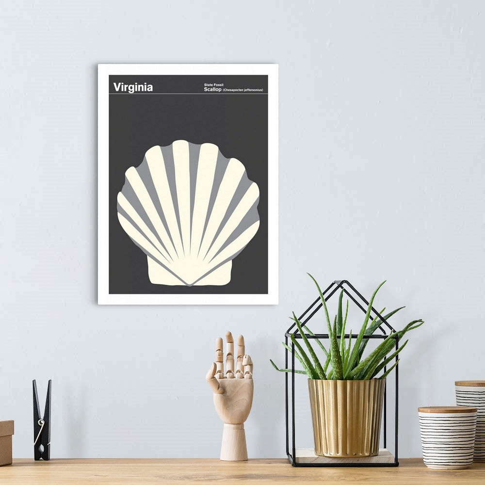 A bohemian room featuring State Posters - Virginia State Fossil: Scallop