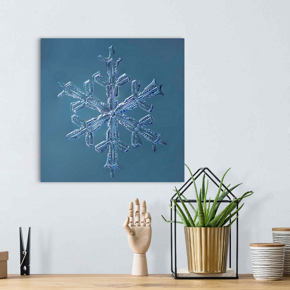 A bohemian room featuring Stellar Dendrite Snowflake