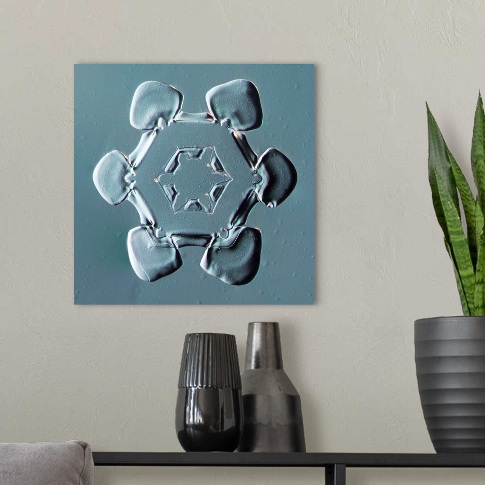 A modern room featuring Stellar Plate Snowflake