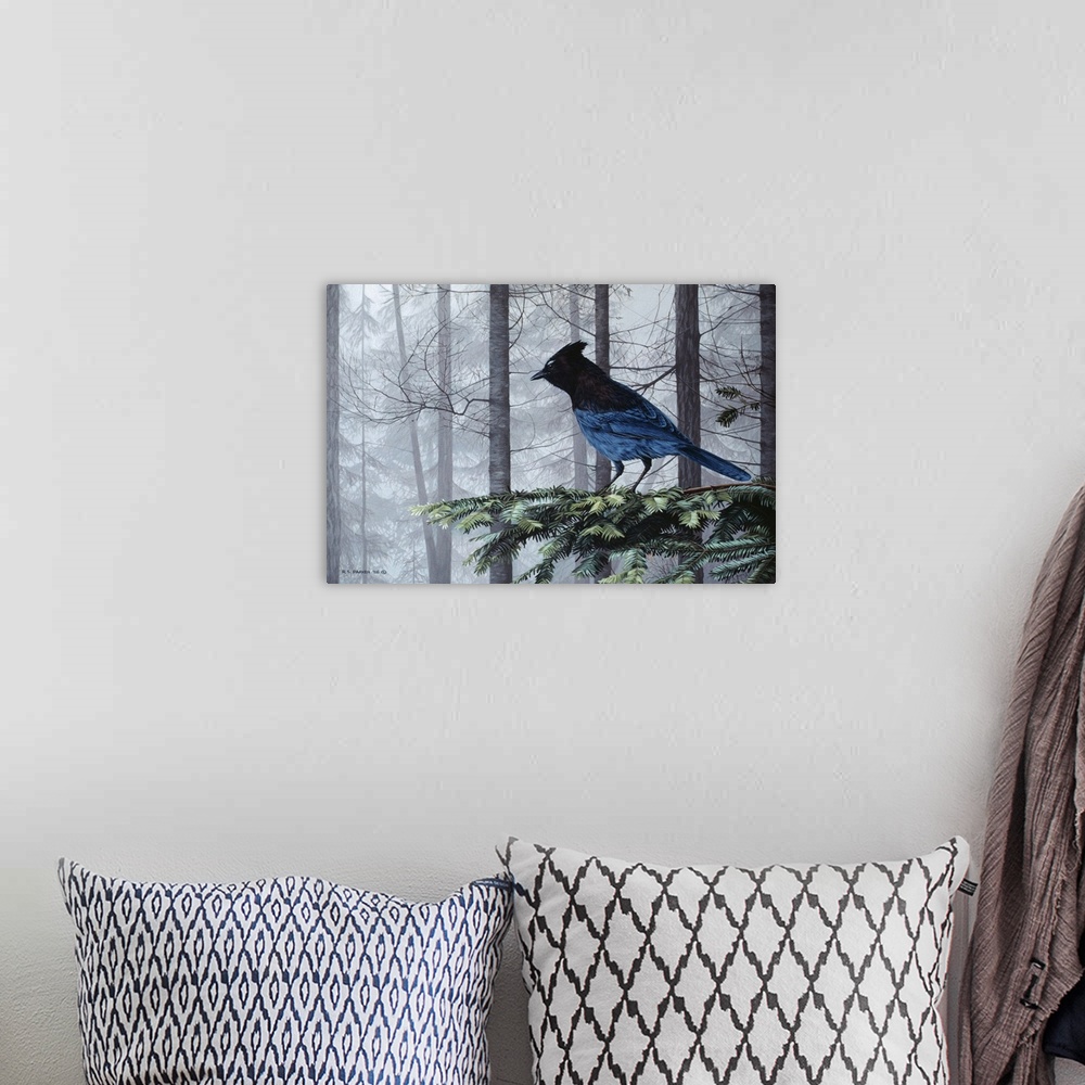 A bohemian room featuring A stellers jay perched on a limb.
