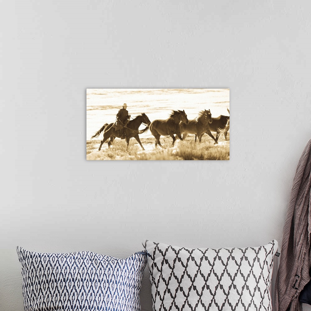 A bohemian room featuring Woman rounder herding 3 horses