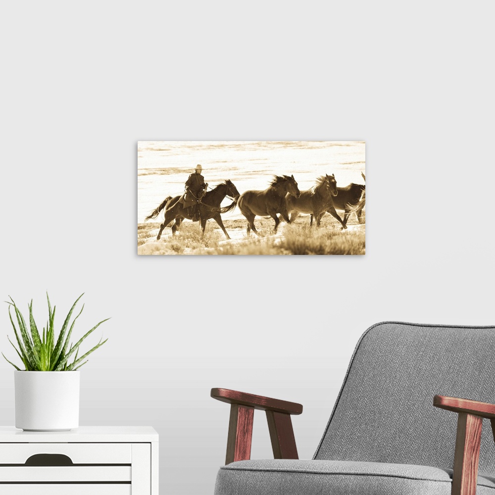 A modern room featuring Woman rounder herding 3 horses