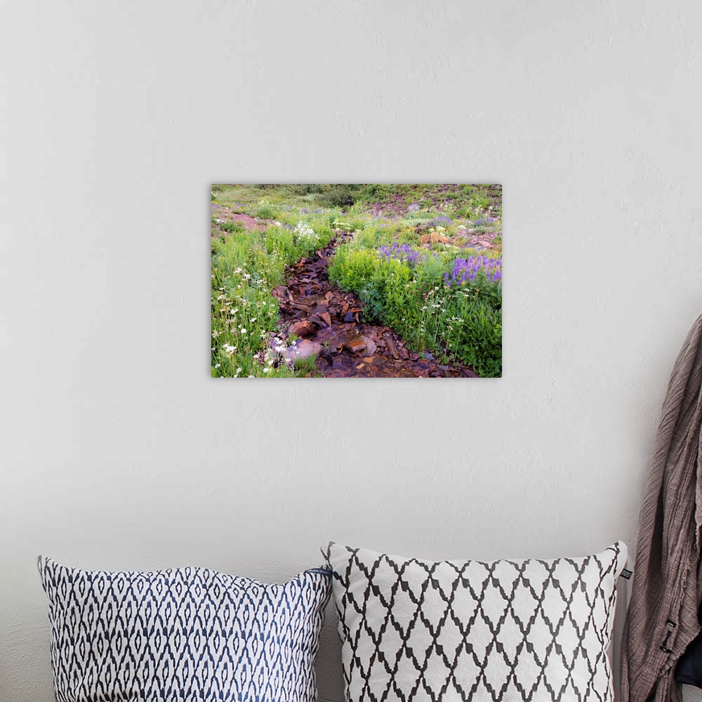 A bohemian room featuring Photograph of a small rocky creek surrounded with wildflowers.