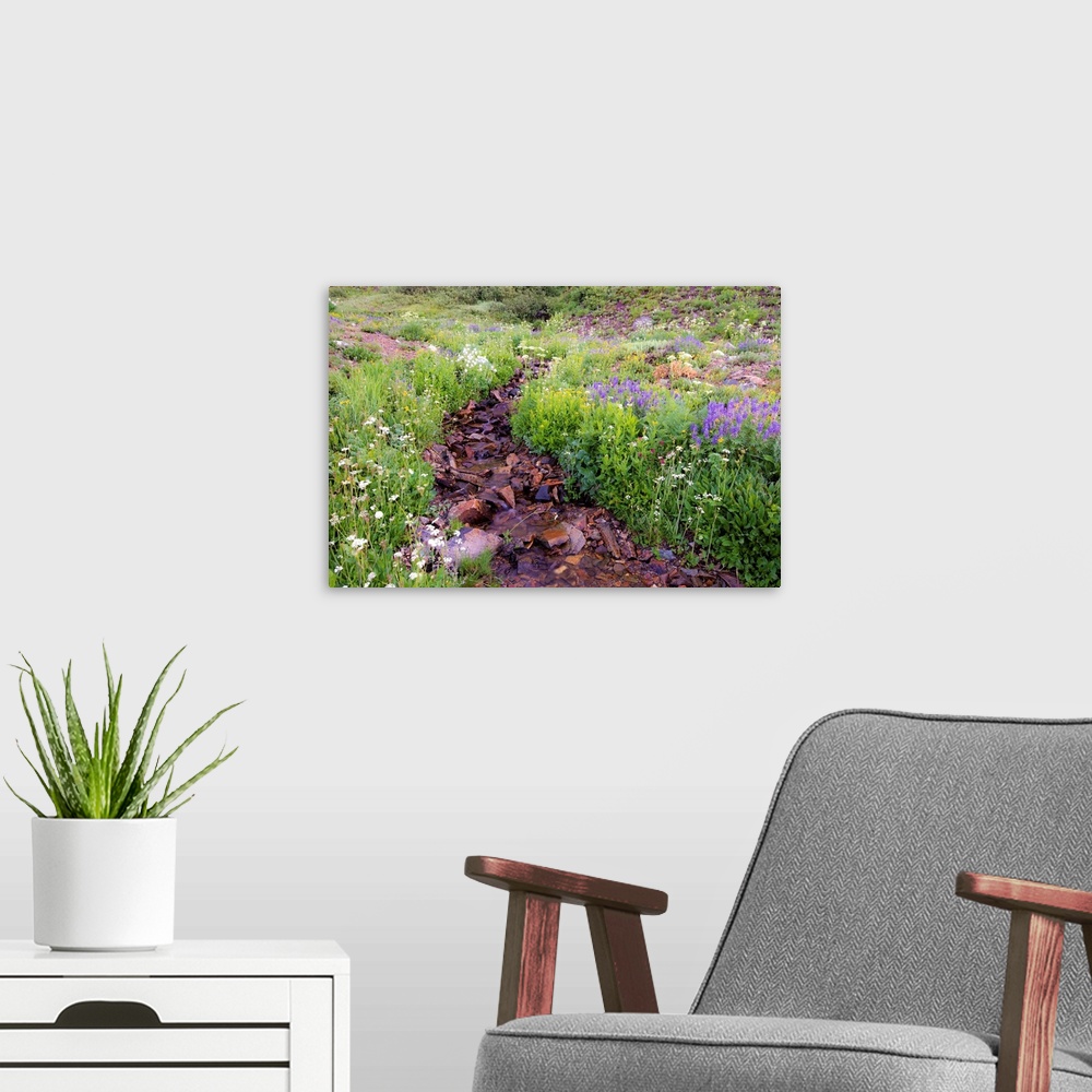 A modern room featuring Photograph of a small rocky creek surrounded with wildflowers.