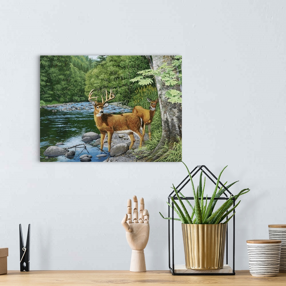A bohemian room featuring Streamside, White Tail Deer