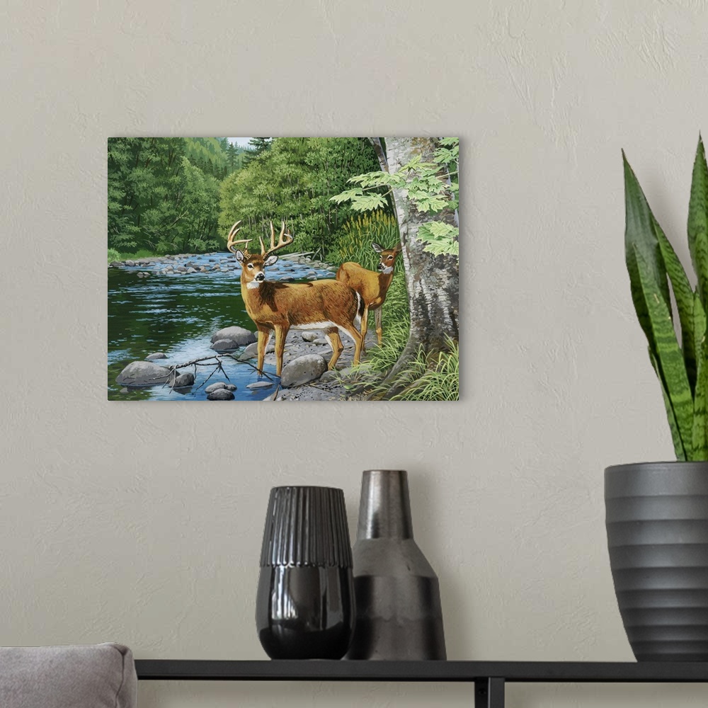 A modern room featuring Streamside, White Tail Deer