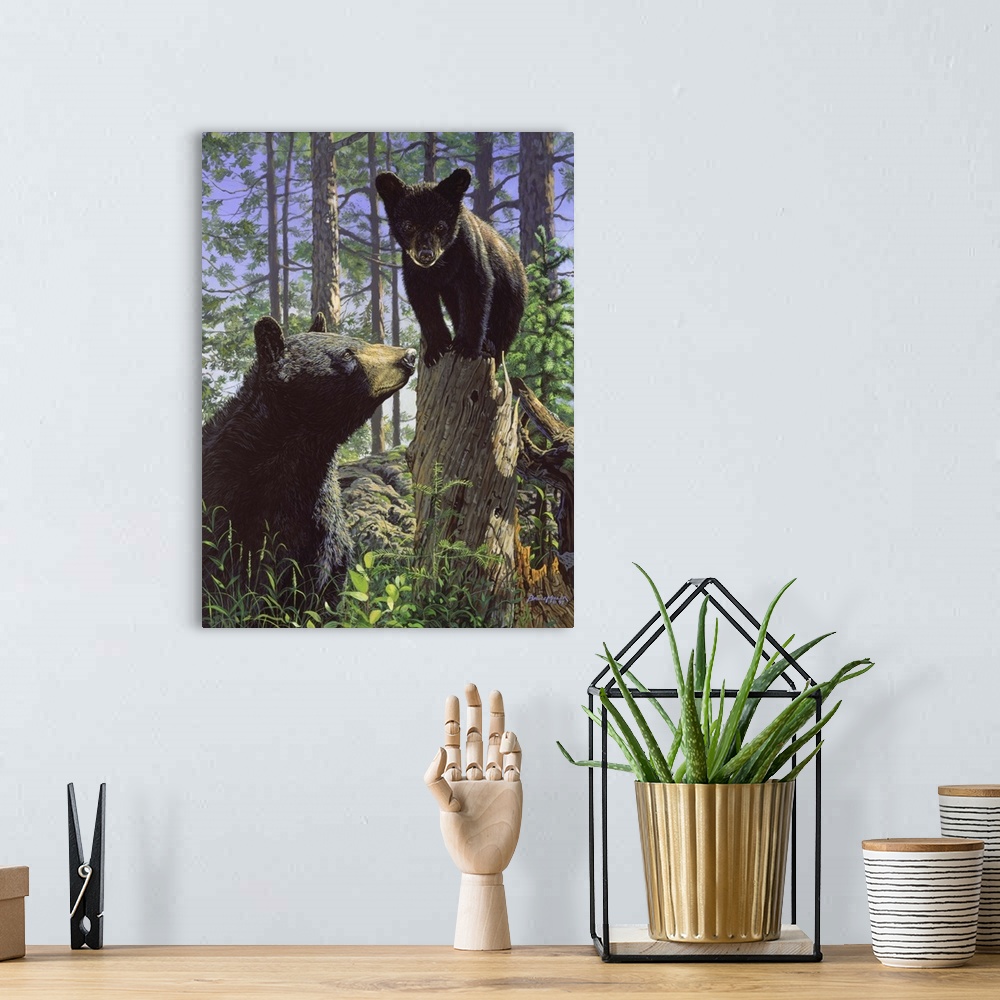A bohemian room featuring A bear and her cub, cub on tree.