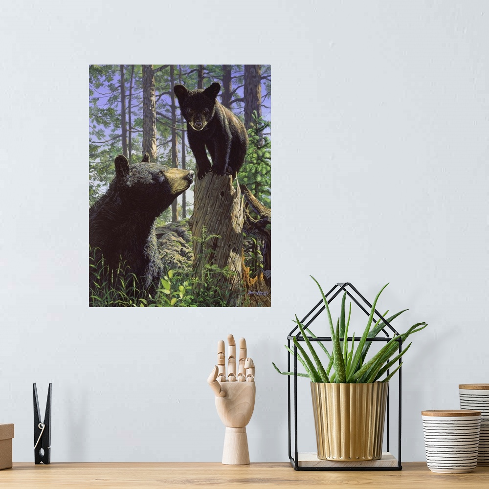 A bohemian room featuring A bear and her cub, cub on tree.