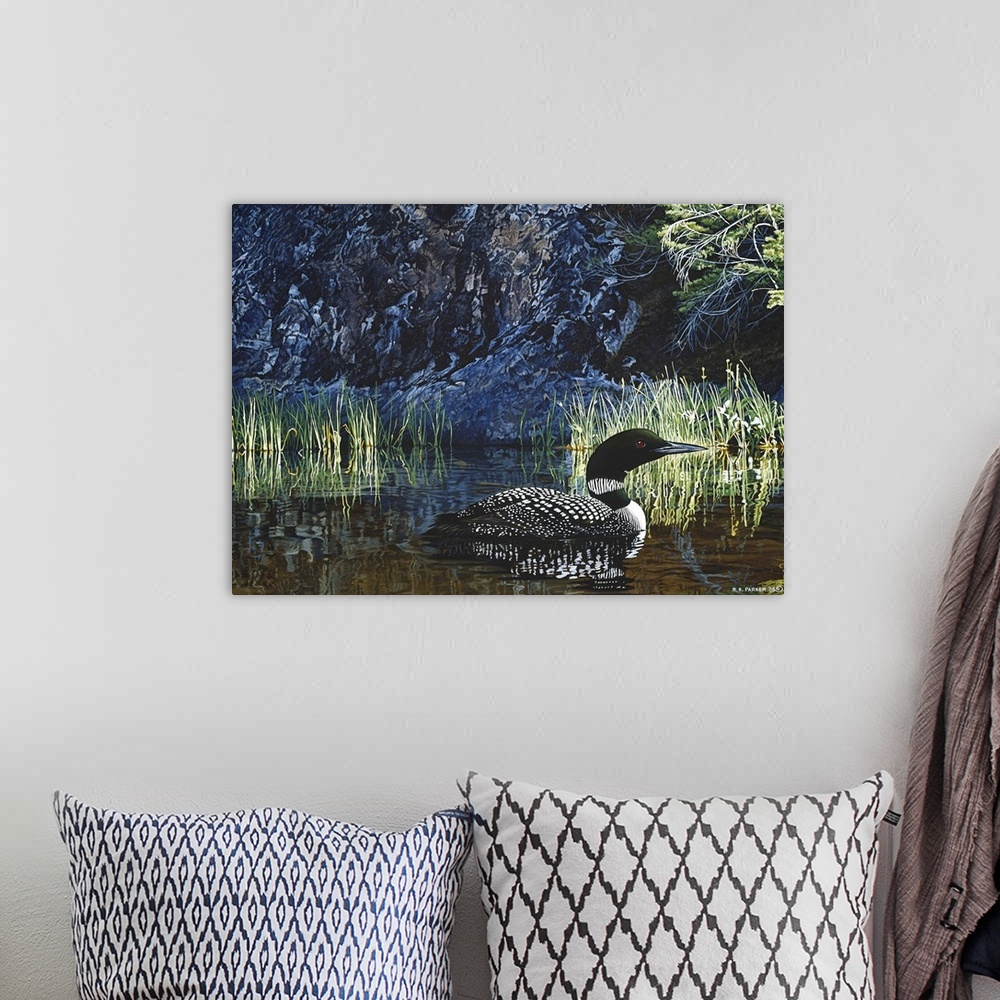 A bohemian room featuring A loon makes its way through the water.