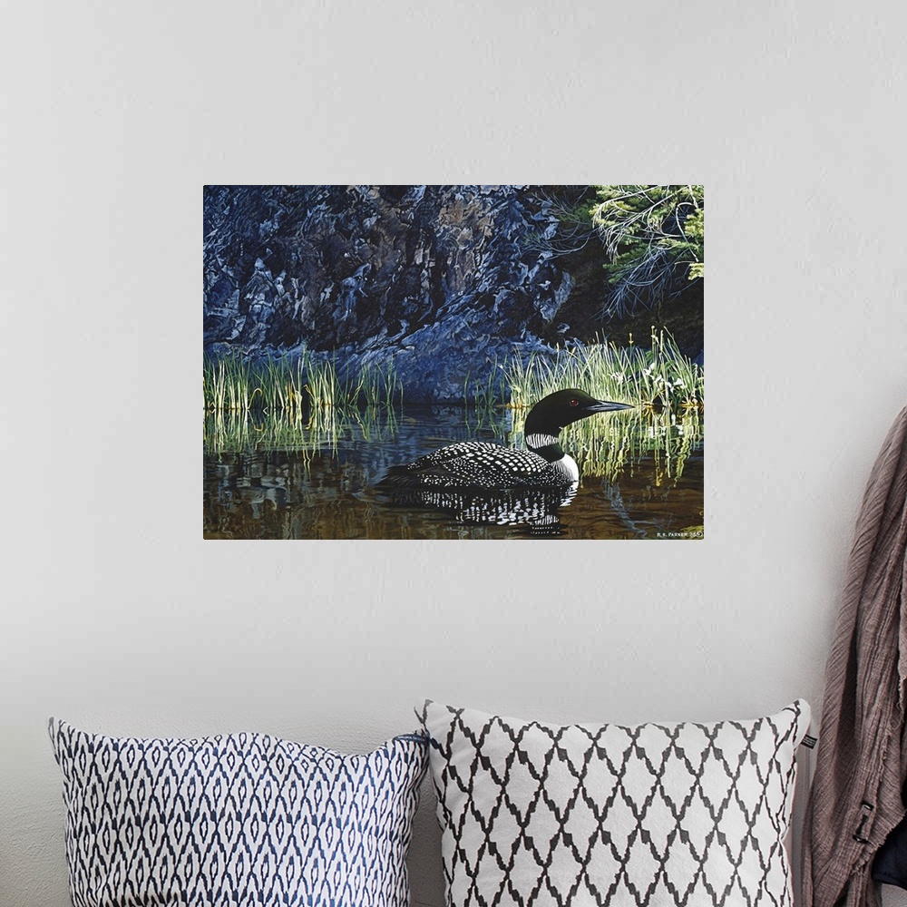 A bohemian room featuring A loon makes its way through the water.
