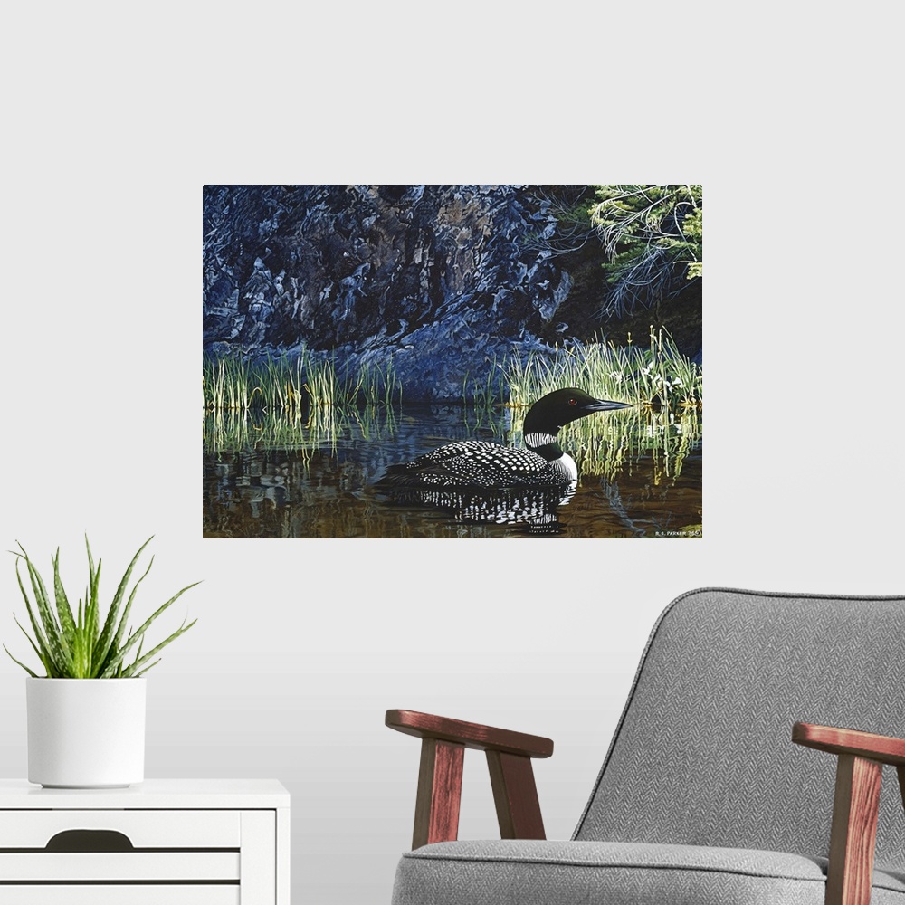 A modern room featuring A loon makes its way through the water.