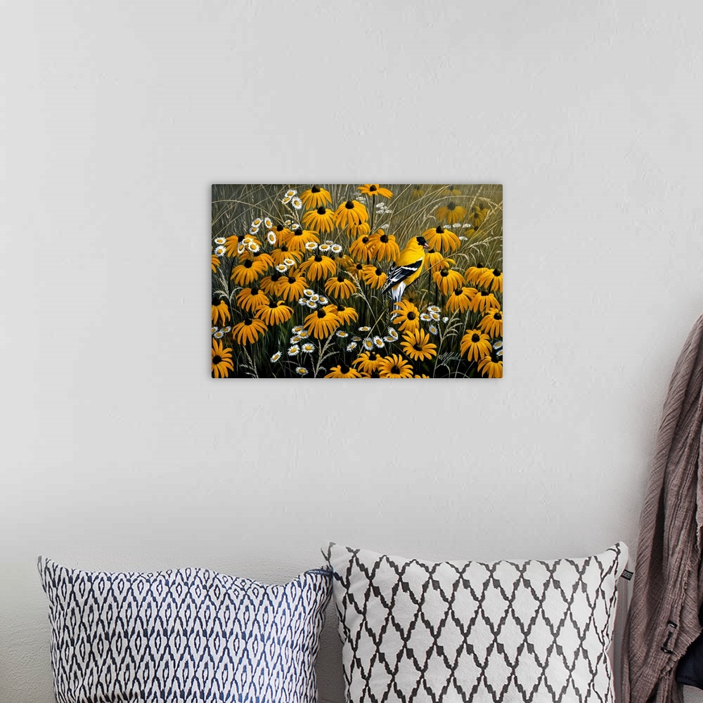 A bohemian room featuring American Goldfinch in black eyed susans.