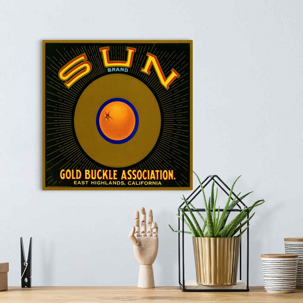 A bohemian room featuring Sun Brand Citrus