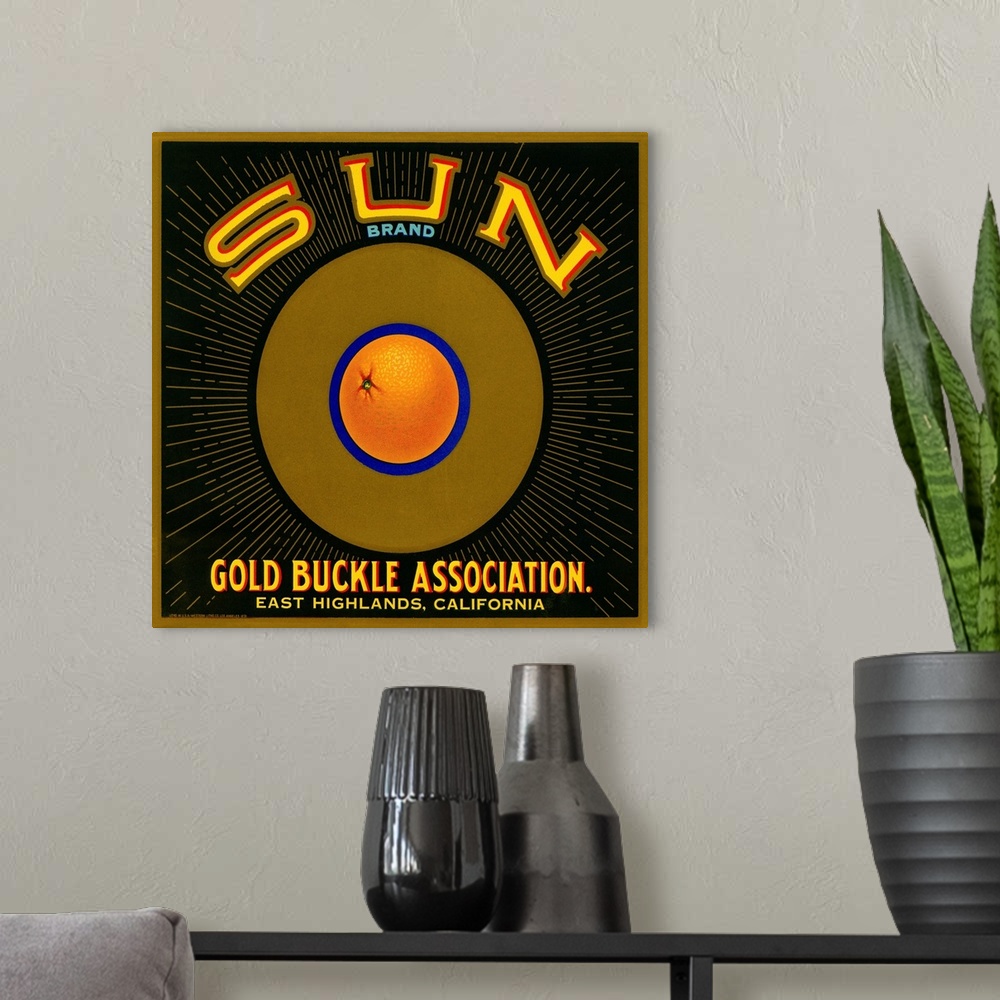 A modern room featuring Sun Brand Citrus