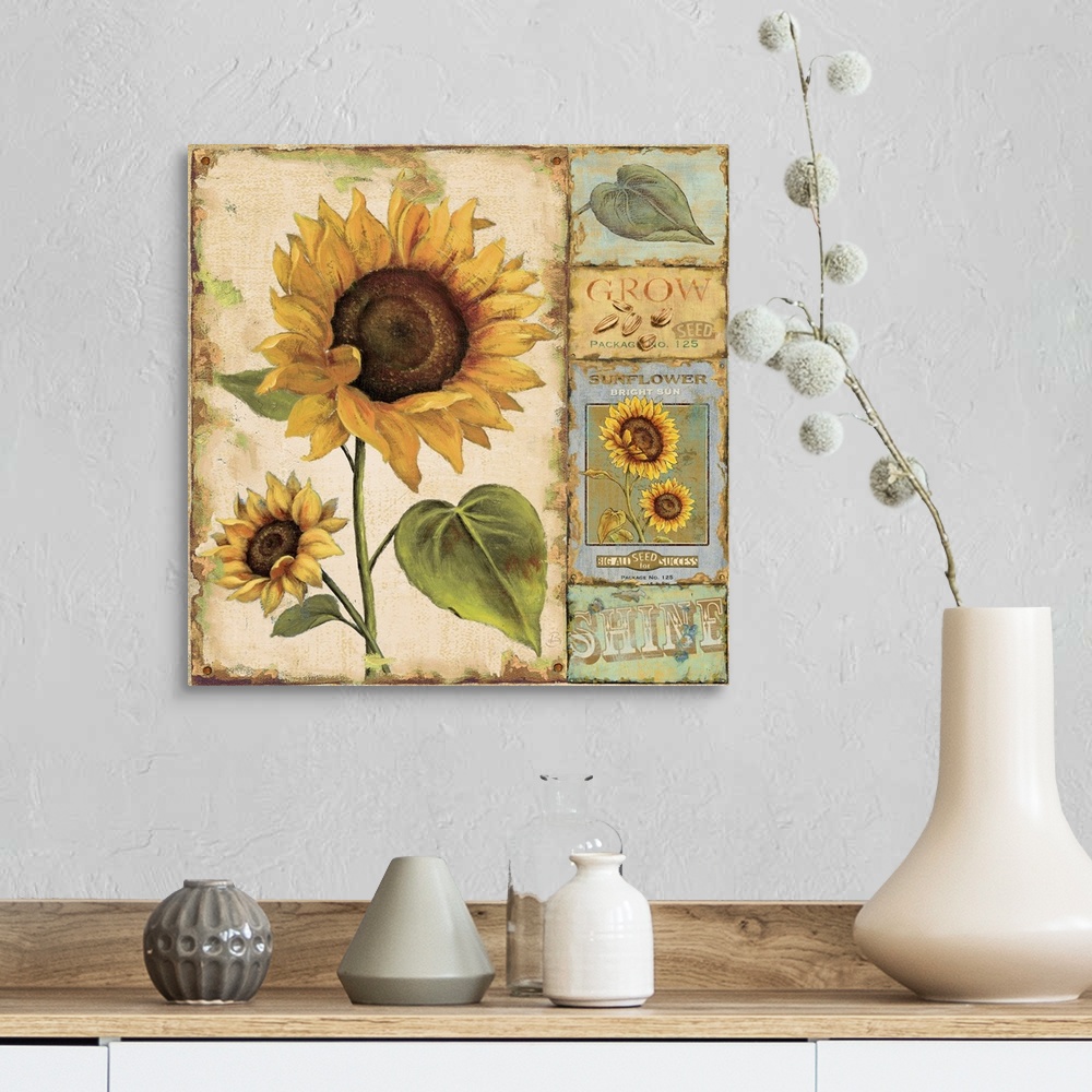 A farmhouse room featuring Retro wall docor featuring vintage illustrations of sunflowers, leaves, seeds, and seed packets.
