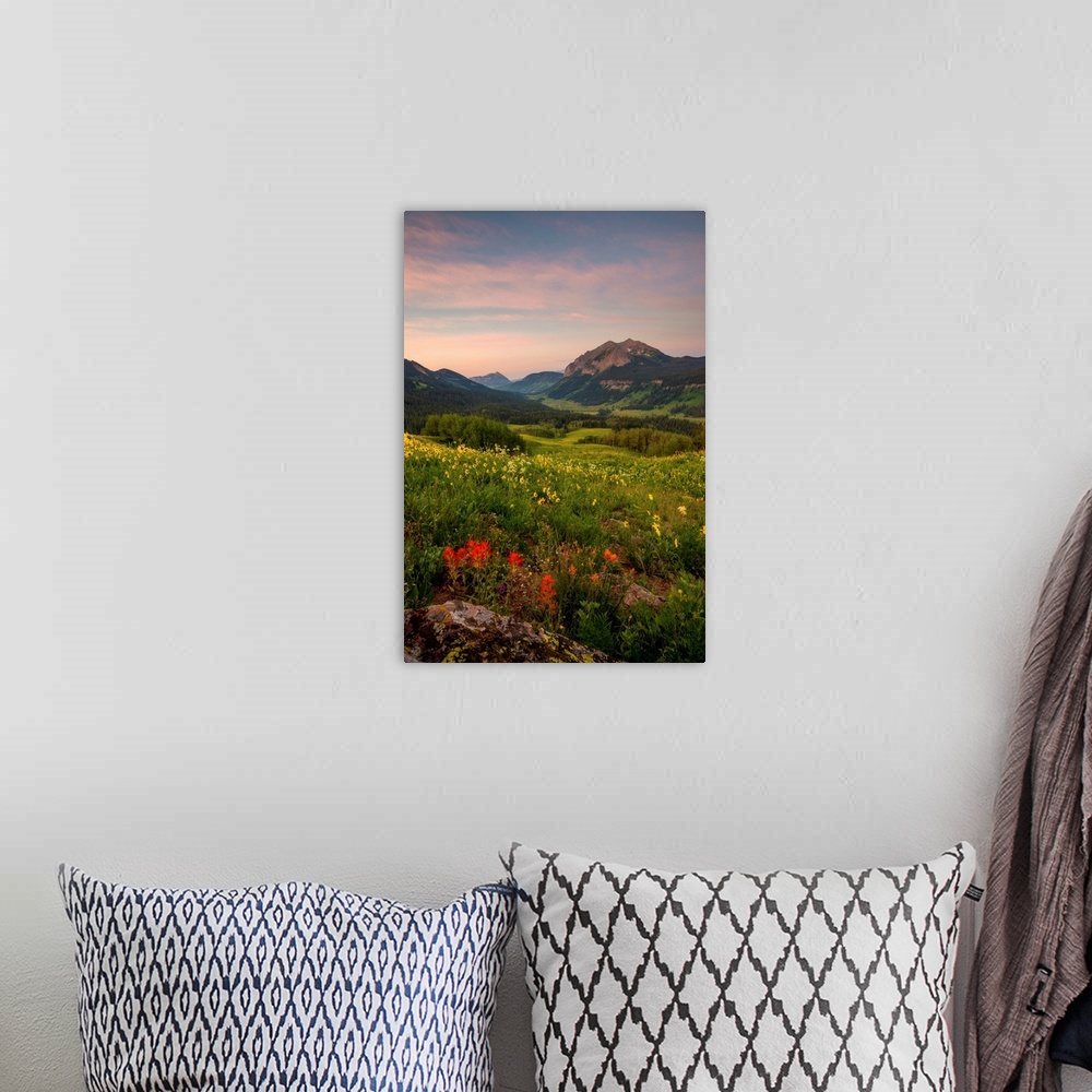 A bohemian room featuring Landscape photograph of a field filled with wildflowers and mountains in the distance at sunset.
