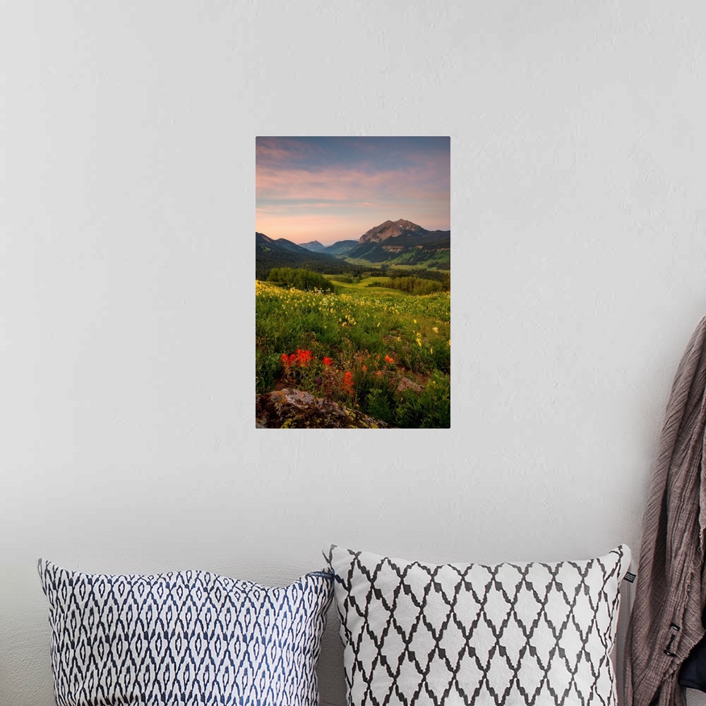 A bohemian room featuring Landscape photograph of a field filled with wildflowers and mountains in the distance at sunset.