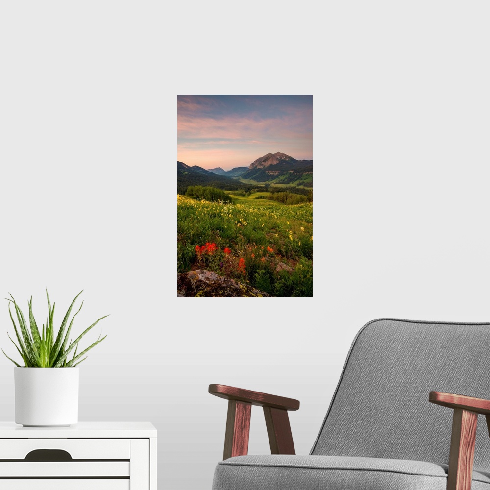 A modern room featuring Landscape photograph of a field filled with wildflowers and mountains in the distance at sunset.