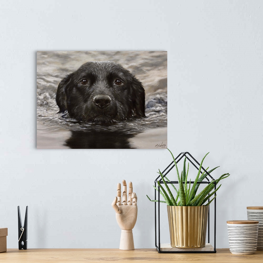 A bohemian room featuring Contemporary painting of a black Labrador retriever swimming.