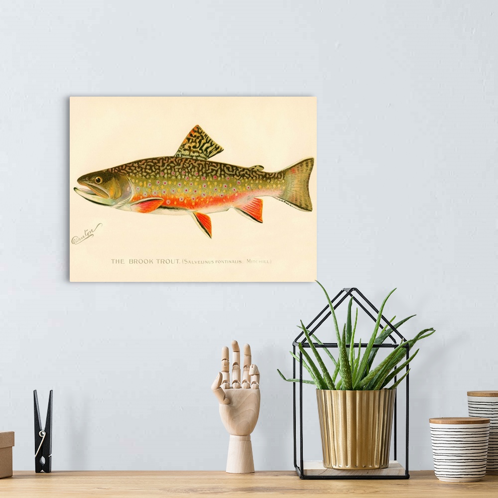A bohemian room featuring The Brook Trout
