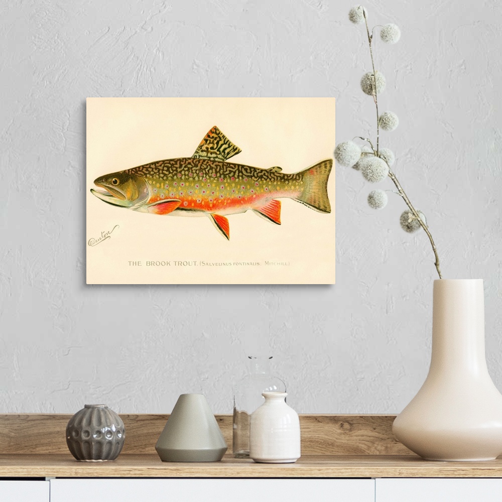 A farmhouse room featuring The Brook Trout