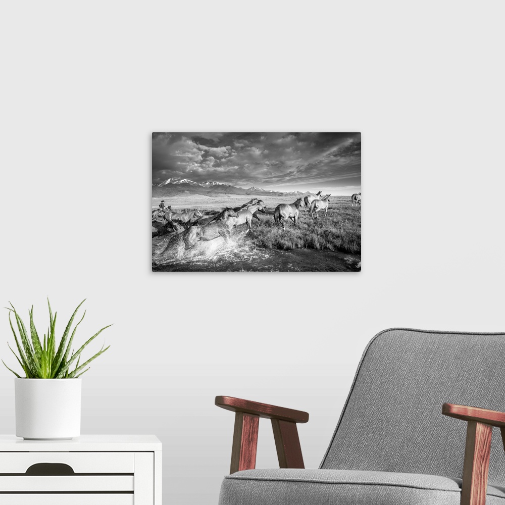 A modern room featuring Black and white action photograph of a herd of horses galloping through a river with mountains in...