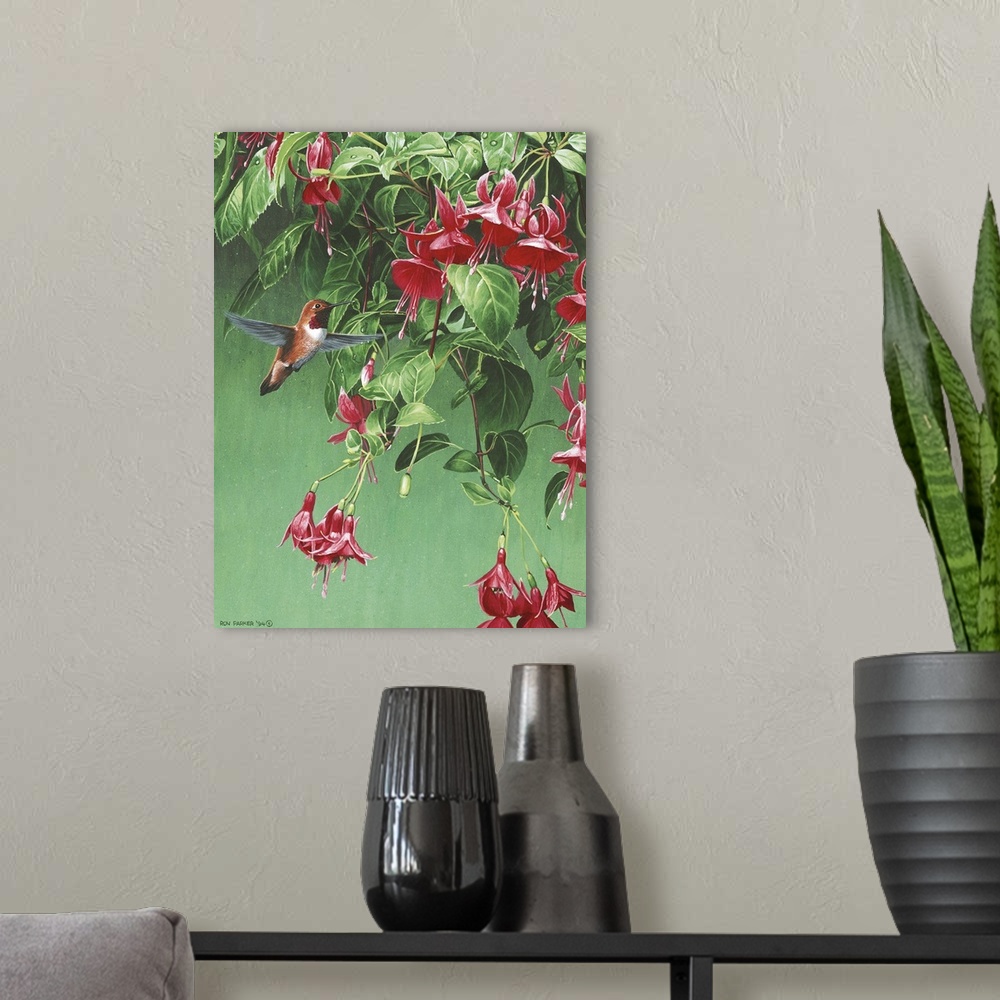 A modern room featuring A humming bird flying in front of a fuchsia.