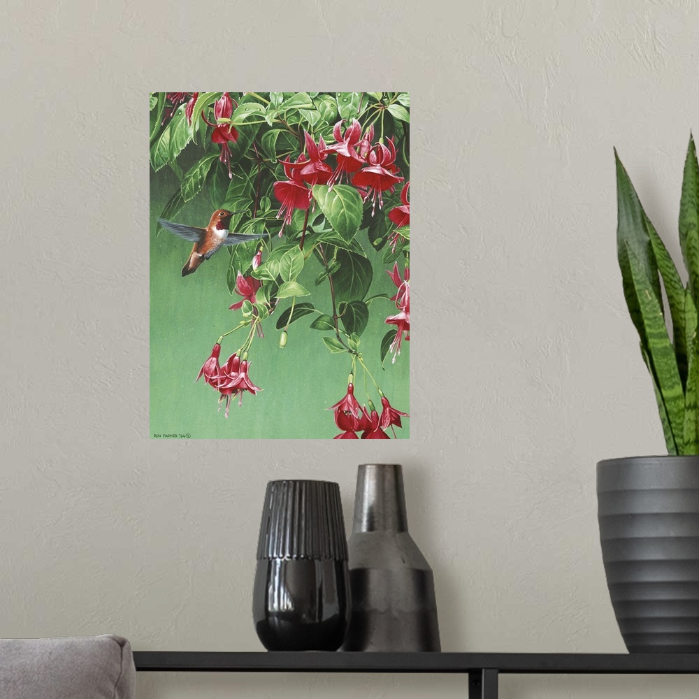A modern room featuring A humming bird flying in front of a fuchsia.