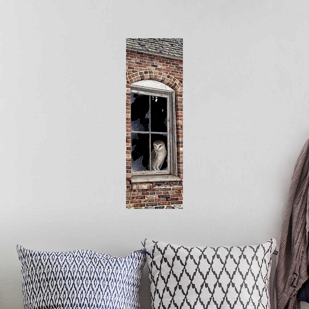 A bohemian room featuring an owl perched in a window pane with the glass broken out of it in a brick building