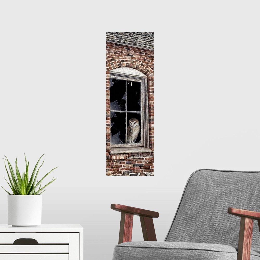 A modern room featuring an owl perched in a window pane with the glass broken out of it in a brick building