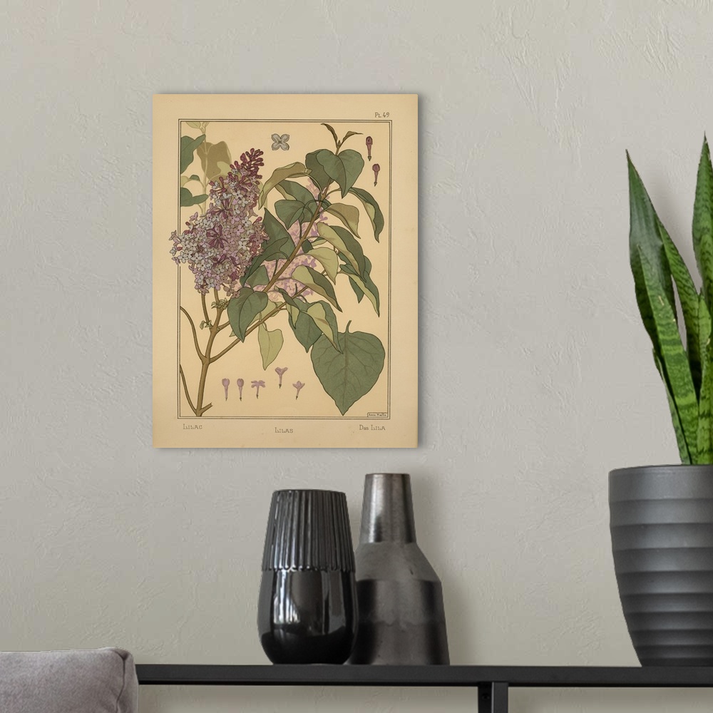 A modern room featuring La Plante et ses applications ornementales, Eugene Grasset, Plate 49 - Lilac