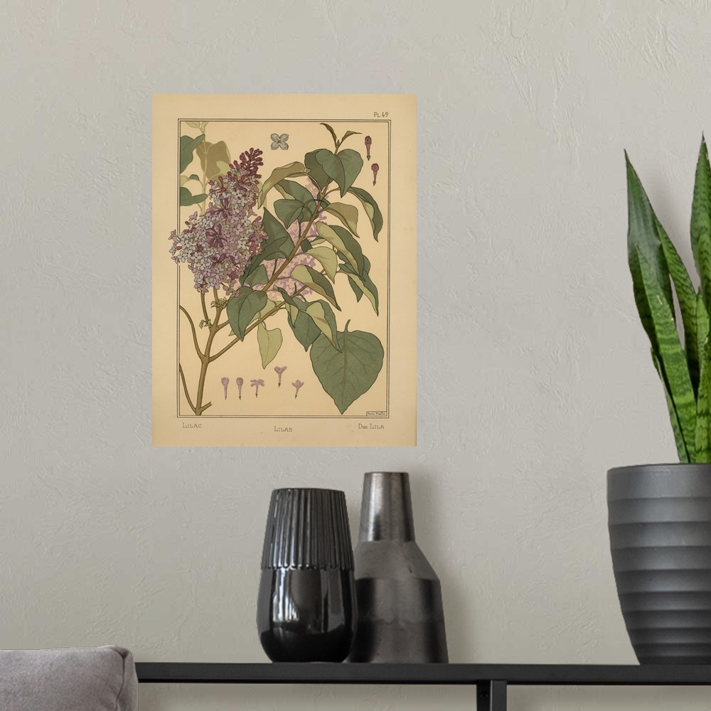 A modern room featuring La Plante et ses applications ornementales, Eugene Grasset, Plate 49 - Lilac