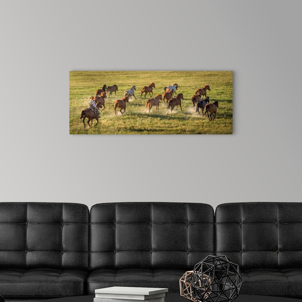 A modern room featuring Photograph of a cowgirl with a lasso herding horses through a field.