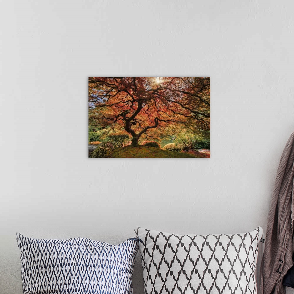 A bohemian room featuring An artistic photograph of an old Japanese maple tree in autumn foliage in a zen garden.
