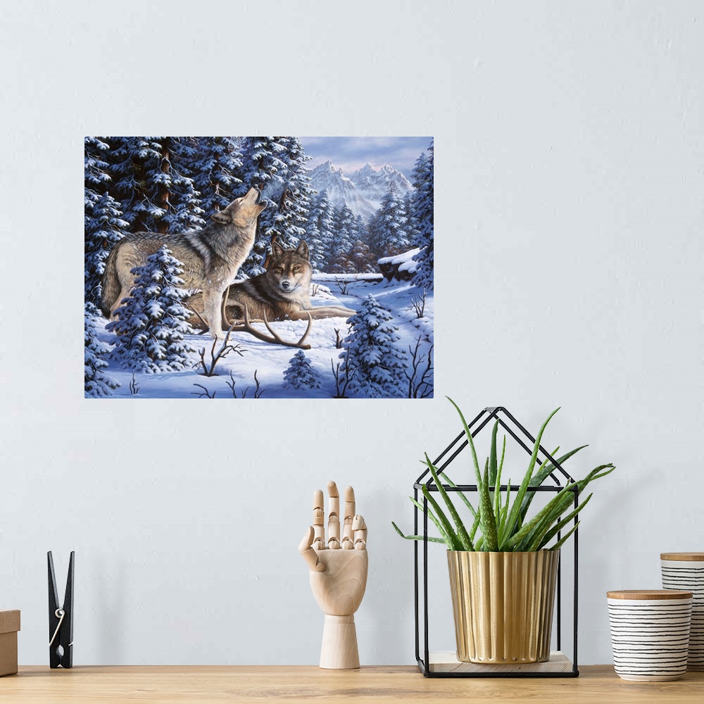 A bohemian room featuring Two wolves rest on a snowy peak.
