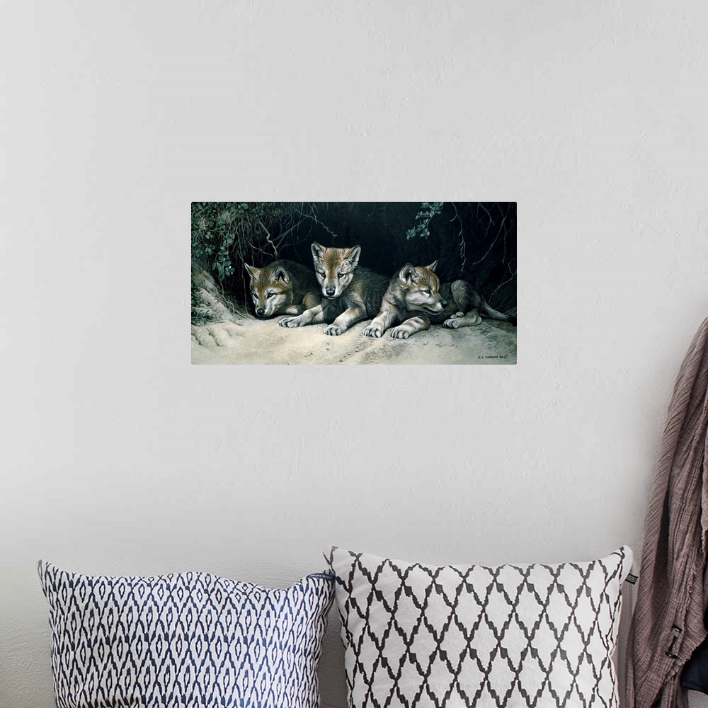 A bohemian room featuring Three wolf cubs rest at the opening of their den.