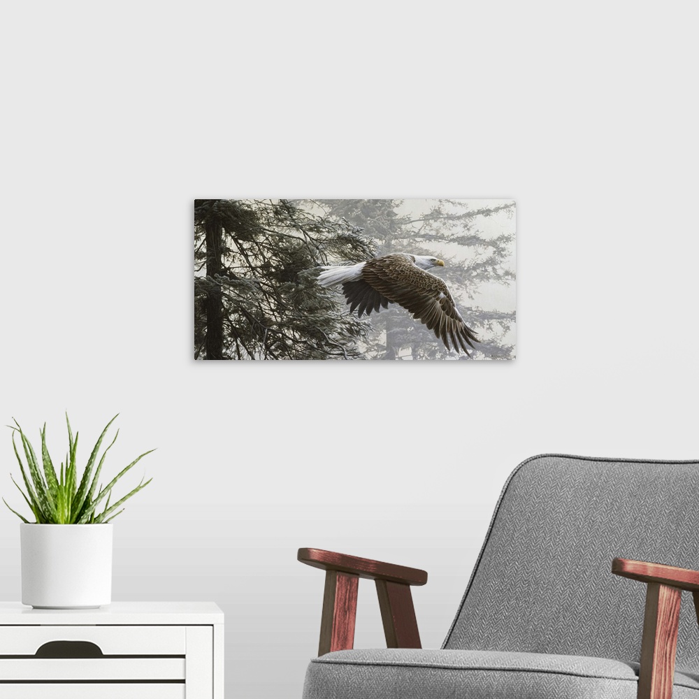 A modern room featuring An eagle flies through a group of trees, into the misty morning.