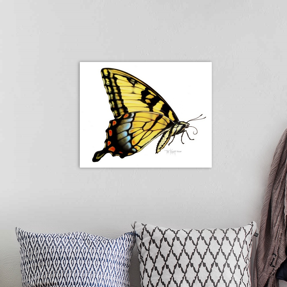A bohemian room featuring Tiger Swallowtail Butterfly
