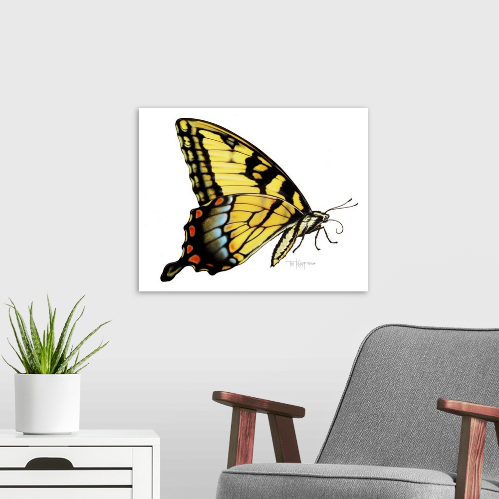 A modern room featuring Tiger Swallowtail Butterfly