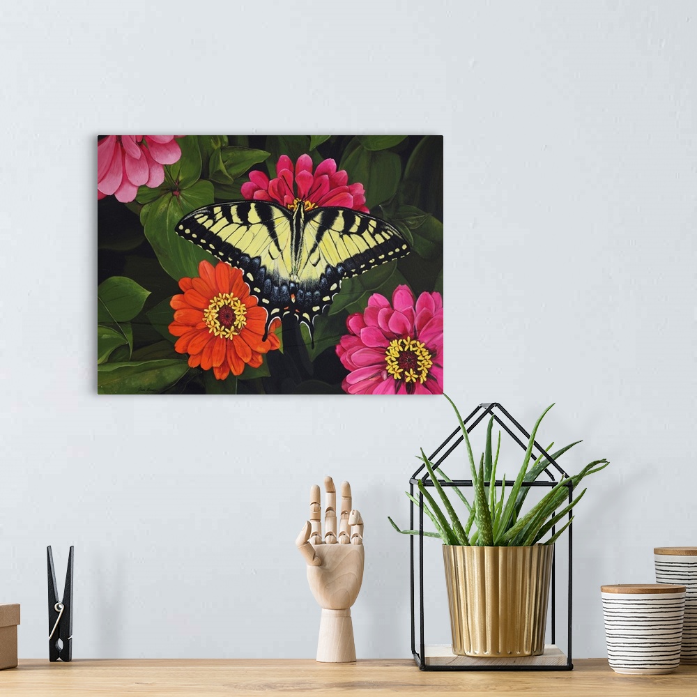 A bohemian room featuring Tiger Swallowtail on Zinnias