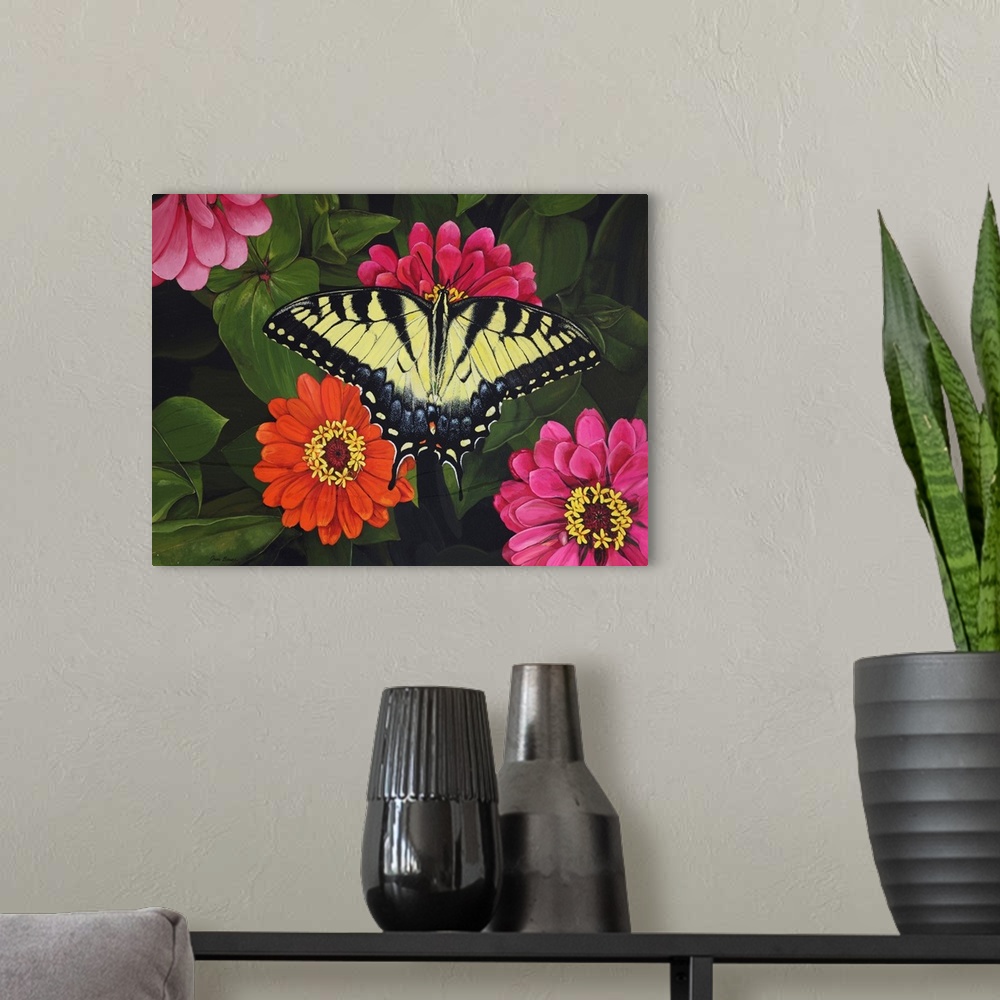 A modern room featuring Tiger Swallowtail on Zinnias