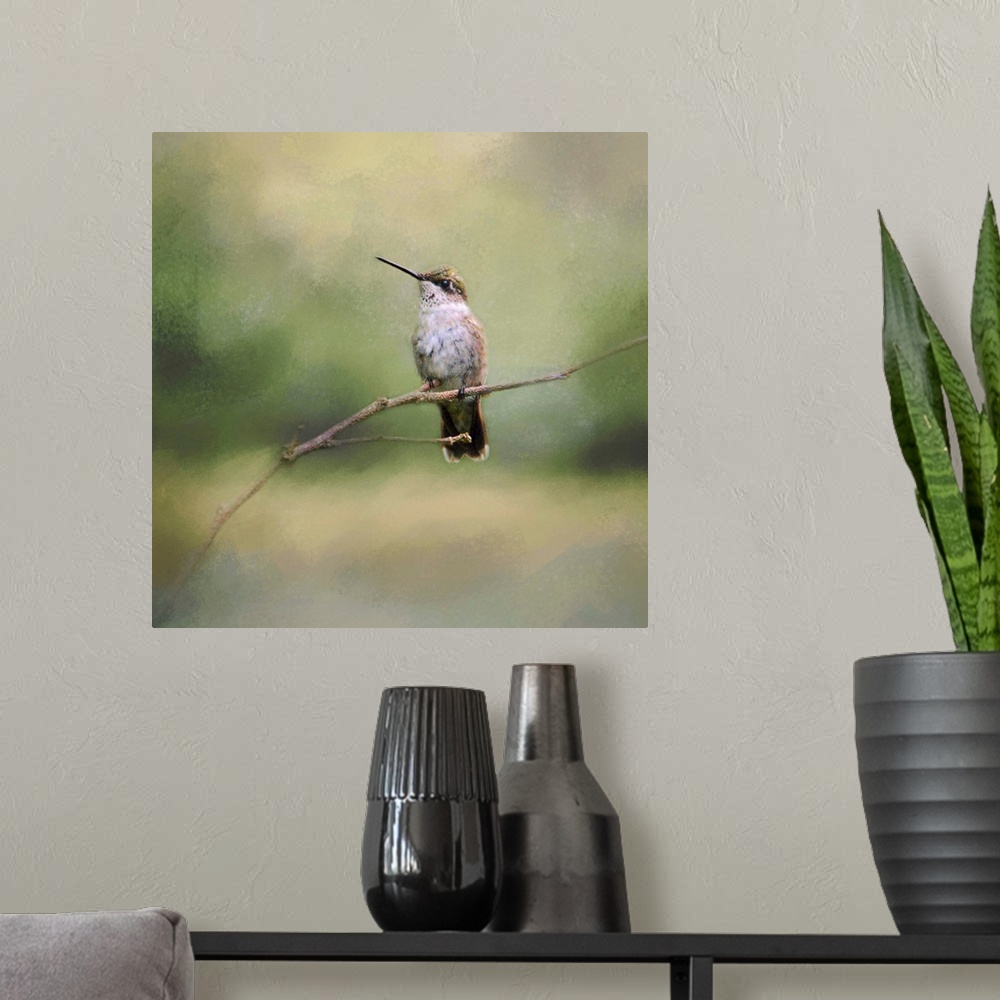 A modern room featuring A small hummingbird perches on a thin twig.