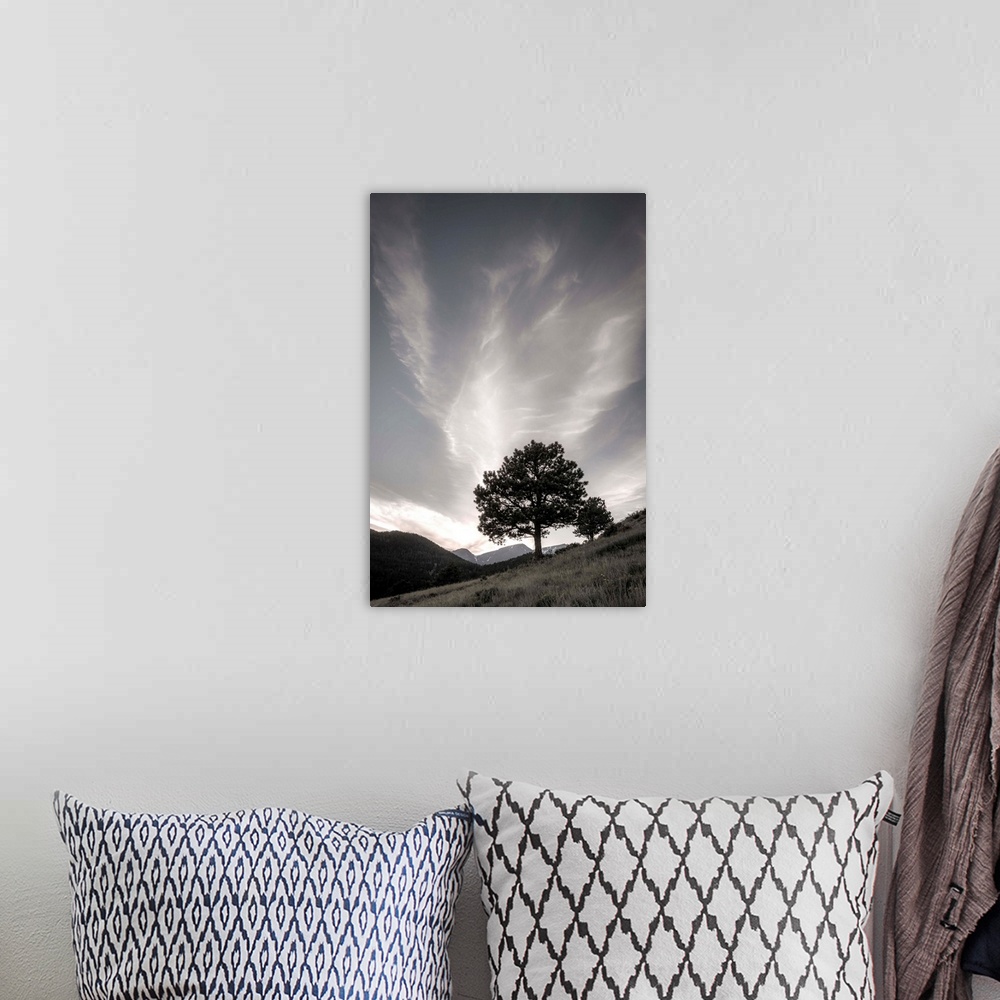 A bohemian room featuring Black and white muted photograph of a tree on the side of a hill.