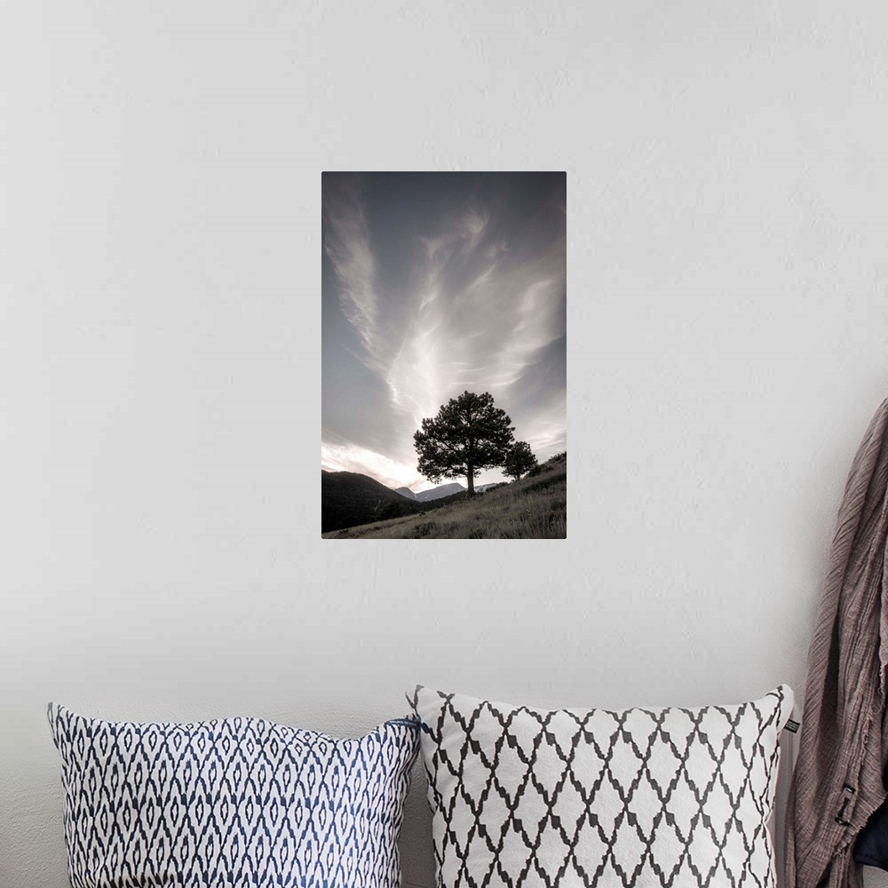 A bohemian room featuring Black and white muted photograph of a tree on the side of a hill.