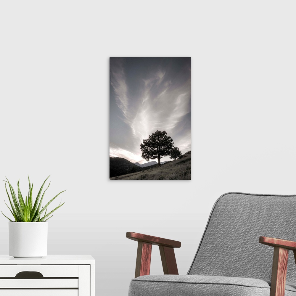 A modern room featuring Black and white muted photograph of a tree on the side of a hill.